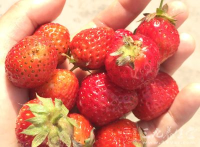 草莓、水果2