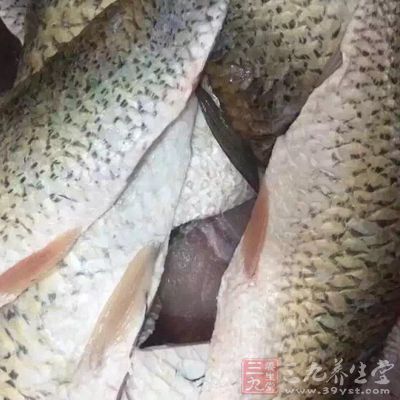 鱼肉跟豆腐搭配会更好