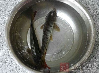 把魚清理干凈，再把水空干