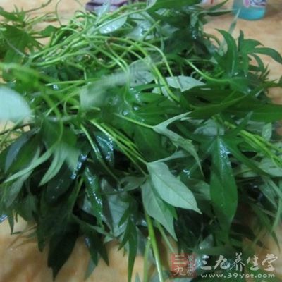 炒鍋燒熱，放植物油燒熱后下蒜茸