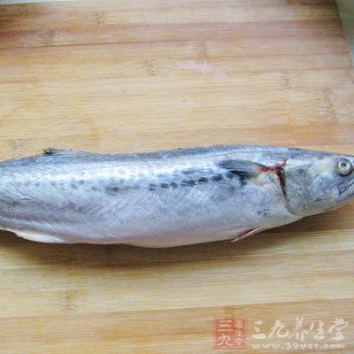 1斤半左右鲅魚一條