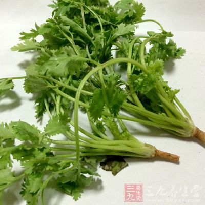 將帶根的香菜洗凈