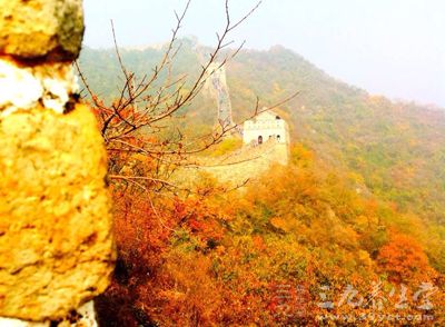 秋天到了，天气变得干燥起来了