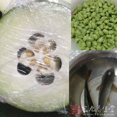 赤小豆60克、冬瓜750克、生魚2條、豬瘦肉150克、生姜3片。