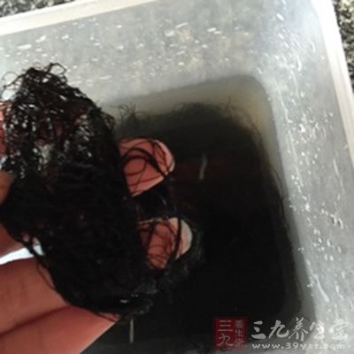 发菜的生长环境比较恶劣发菜只存在于荒漠植物的下面