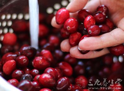 蔓越莓已经成为美国家庭不可或缺的佐餐佳品及日常饮食伙伴