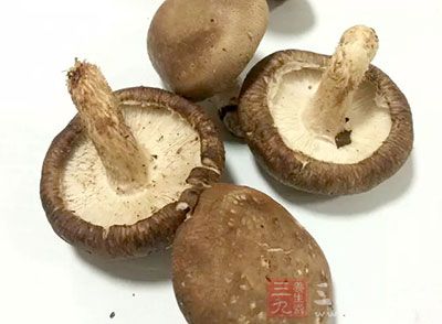 蘑菇种类较多，现多为人工培植，包括菜蘑、口蘑、香菇等，同为蕈类