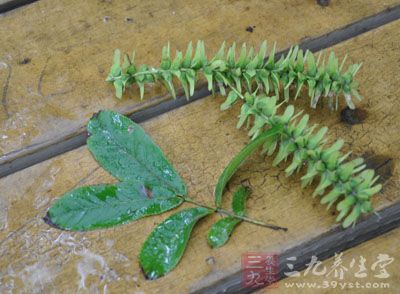 在村长的帮助下用独特的方法在雨中解开了大山的心结