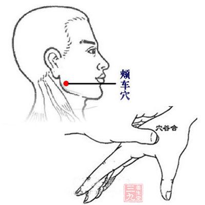 颊车穴和合谷穴对于这方面比较厉害