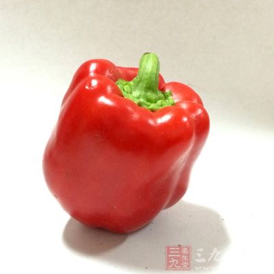 辣芥末、椒、生姜等及含植物纤维素的产渣食物