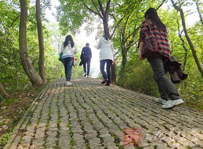 登山运动极受人宠爱