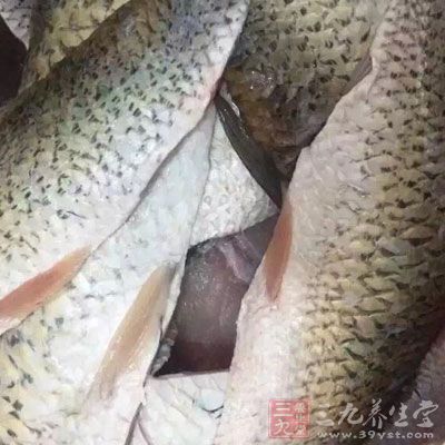 魚肉要多吃