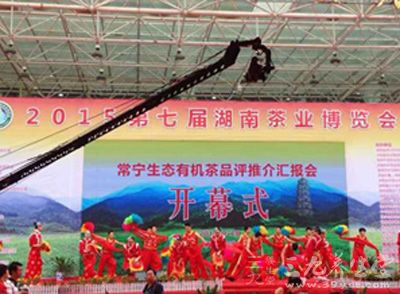 2015第七届湖南茶业博览会在长沙开幕