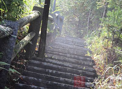 爬山对心肺功能的锻炼效果更佳