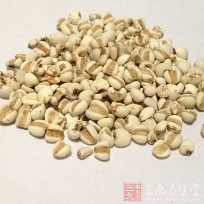 谷类食物中的抗氧化剂，对保护皮肤具有重要作用