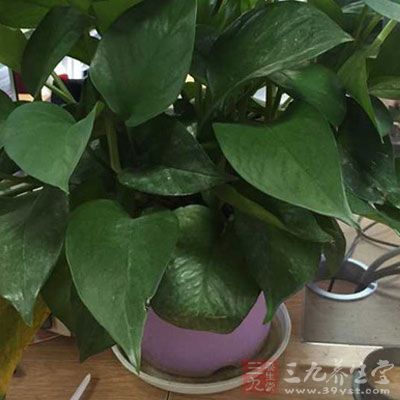 移除室内植物；保证浴帘、浴间窗和垃圾桶的清洁