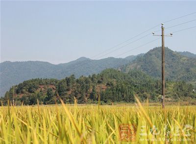 通过节气的变化来调整养生的方式