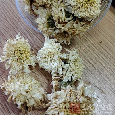 菊花可疏散风热，平肝明目，清热解毒，降低血压