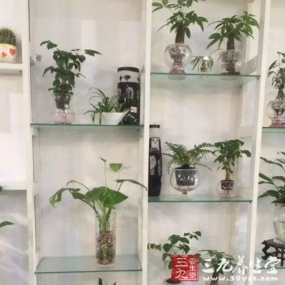 家庭水生植物要定期换水，保持水的清洁。