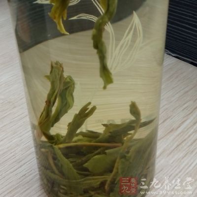 春季上火喝什么茶