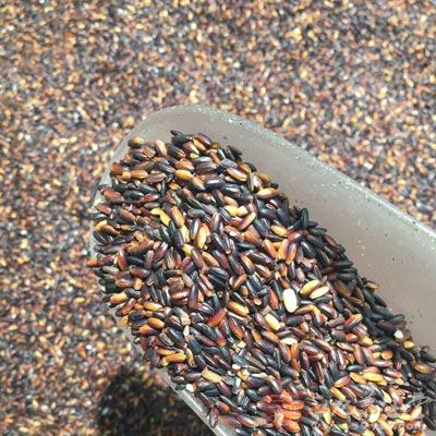 每天摄入30克以上的食物纤维