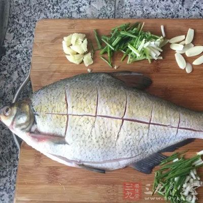 補脾食物：鯽魚