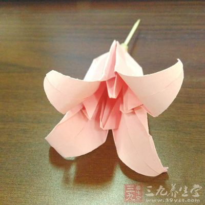 山药百合加大枣可以有效的保护健康 山药百合加大枣可以有效的保护健康