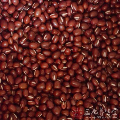 红豆和薏米适合容易水肿的人群食用