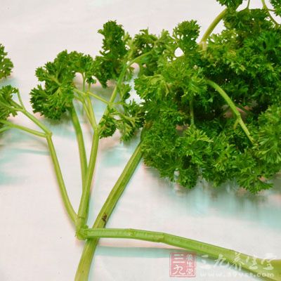 準備適量的香菜