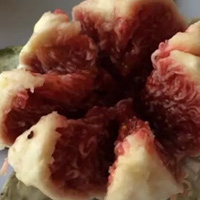 无花果的功效与作用_新鲜干无花食用方法及禁忌