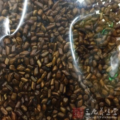 決明子的食用方法