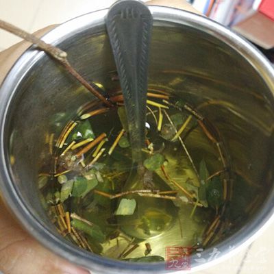 食材：鸡骨草5克