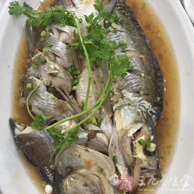 葷菜好選擇魚(yú)類