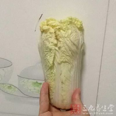 准备一颗大白菜