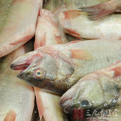 將魚肉洗凈，剁成泥狀