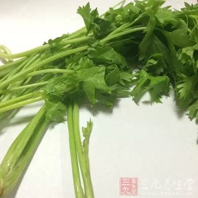 在夏天建议大家多吃以下性寒胃酸的食物