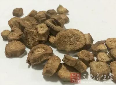 牛蒡富含蛋白質(zhì)及多種人體必須維生素和微量元素