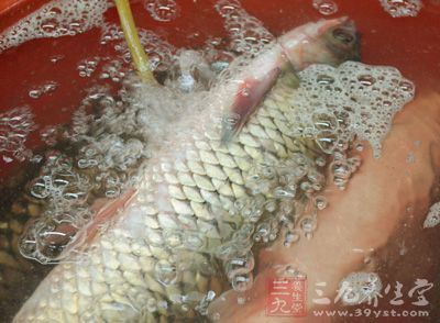 材料：草魚，蔥、姜，白糖、老抽、米醋、料酒