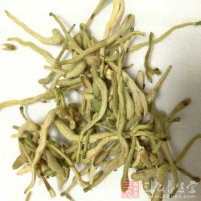 金银花的药用功效就是清热袪火