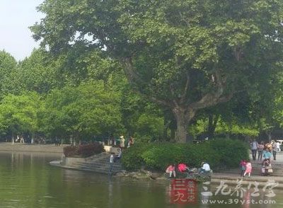 救护者应保持镇静 救护者应保持镇静