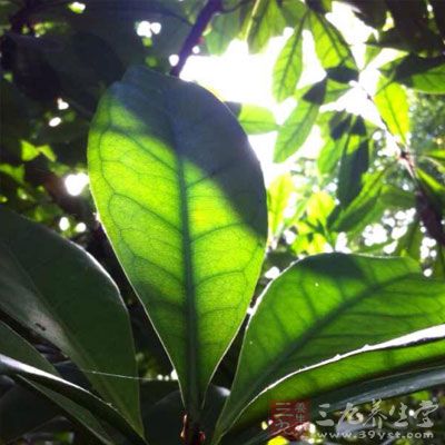 逆向养生缓解肾脏负担 逆向养生缓解肾脏负担