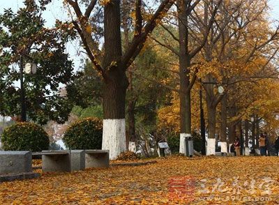 秋与肺相应 秋与肺相应