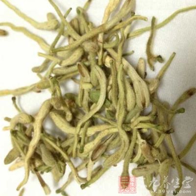 金花茶的功效與作用