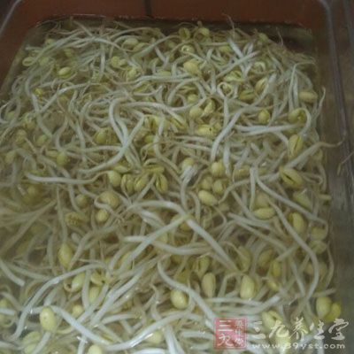 黃豆芽1把左右