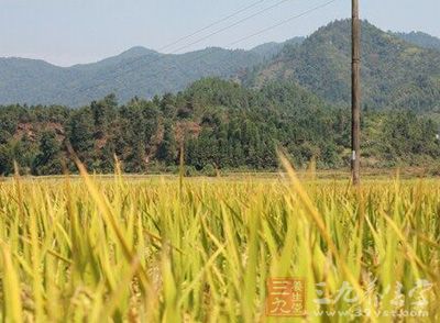 秋天已經(jīng)悄然來到我們的身邊