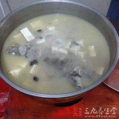 豆腐鲫鱼汤