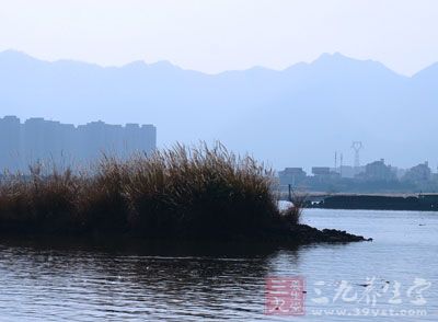 多接触社会，经风雨见世面