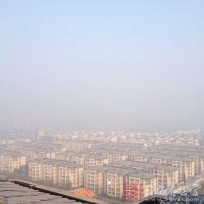 2009年的一项实验采集了北京城区大气中的PM2.5，以人肺泡上皮细胞株(A549)为模型进行毒理作用研究。