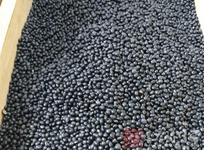 黑豆是生活中最常见的食物