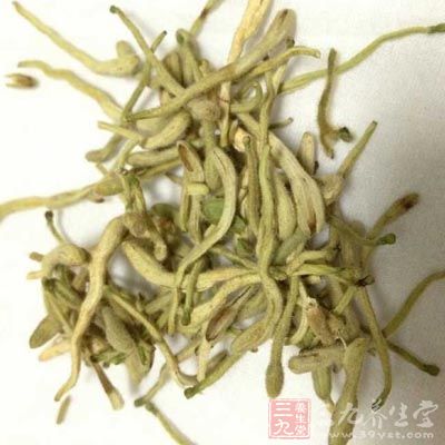 金银花舒展开就可以饮用了